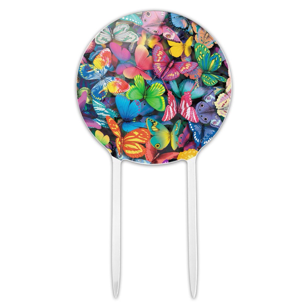 Acrylic Butterfly Butterflies Rainbow Magic Cake Topper Party