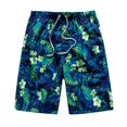 thumbnail image 1 of Siwmwear-pantalones cortos de secado rápido para hombre, ropa de playa de lujo, bañadores deportivos para gimnasio y correr, novedad de 2023 Fivean unisex, 1 of 2