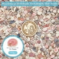 thumbnail image 4 of PH 1350pcs Tiny Sea Shells No Hole Seashells Natural Conch Seashell Bulk for Resin Crafts Candle Making Crafting Vase Fillers Fish Mirror Decoration Ocean Beach Theme Party 3~7mm Colorful DIY, 4 of 5