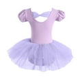 thumbnail image 2 of TEDOYE Toddler Girls Ballet Dance Dress For Performance V-Neck Leotard Tutu Skirt Outfits For Recital And Practice Comfortable Stretchy Soft Fabric Cute Wear, 1-2 Years, 2 of 3