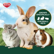 Kaytee Orchard Grass 24 Ounces