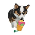 thumbnail image 2 of Bark Pollen Nate Rope Dog Toy, 2 of 2