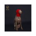 thumbnail image 2 of Italian Greyhound & Weimaraner: Cozy Red Knitted Pom-Pom Dog Hat In Waffle Pattern, 2 of 5