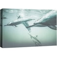 thumbnail image 3 of PixonSign Canvas Print Wall Art Dolphins Dive Underwater Amphibians Ocean Photography Modern Art Nautical Closeup Colorful Blue Ultra for Living Room, Bedroom, Office - 12"x18", 3 of 5