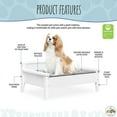 thumbnail image 3 of Tailzzz Winston Small Elevated Wooden Pet Bed with Plush Mattress, White, 3 of 17