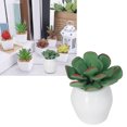 thumbnail image 4 of Mini Bonsaï en Céramique, Échelle 1:12 Maison de Poupée Mini Bonsaï Simulation DIY Pot de Fleurs Miniature pour Enfants Collectionneur, 4 of 8