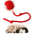 thumbnail image 1 of Juguete Antidepresión para Rodante Rápida Pelota Interactiva Gatos Recargables, 1 of 9