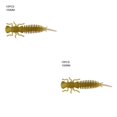 thumbnail image 1 of Sonducket 10 Uds. De cebos de insectos de simulación, señuelos de pesca portátiles, cebos de pesca suaves reutilizables, cebos de plástico para Jigging Type28 NO28 Sonducket CBP149526, 1 of 6