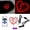 Red, variant on Car Led Window Light Atmosphere Lamp Ambient Light Flashing Glowing Lighting