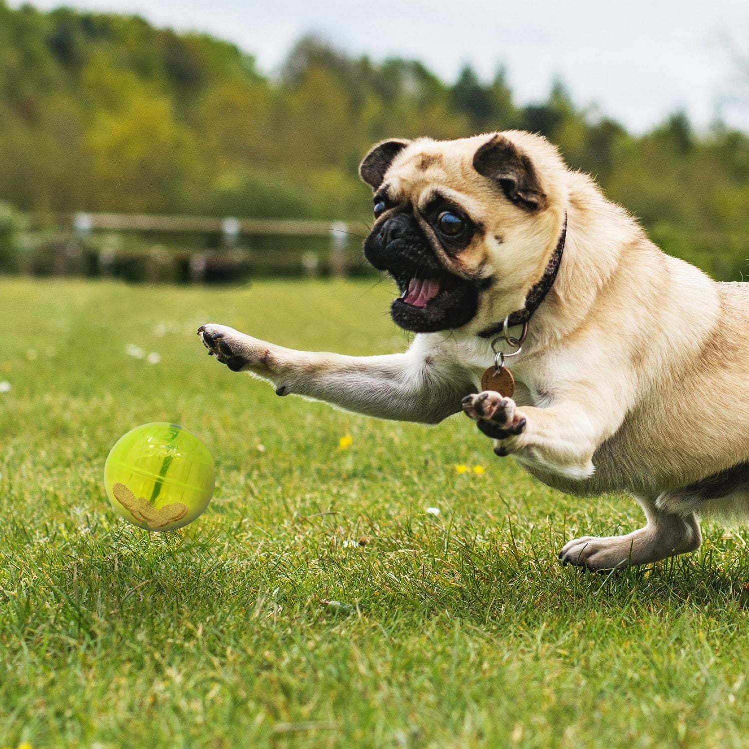 NERF Dog TPR Bungee Treat Ball Dog Toy 2.5in