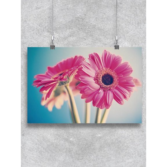Pink Gerbera Flowers Poster -Image by Shutterstock