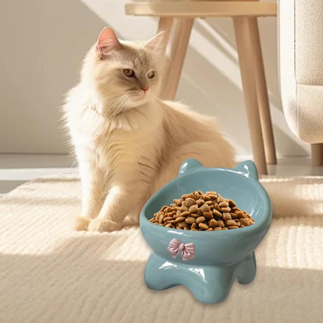 Tazones de gato s Contenedor de alimentos Anti vómitos Protección contra el cuello Cerámica y tazón de agua para gatos pequeños, medianos y azul