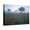Canvas, variant on Art.com View of Texas Paintbrush and Bluebonnets Flowers at Dawn, Hill Country, Texas, USA Stretched Canvas Print Wall Art by Adam Jones, 16" x 12"