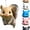Beige, variant on Funny Squirrel Head Feeder, Novelty Hanging Animal Face Feeder Mask for Outdoor Backyard Garden Decor, Gift for Animal Lovers, Black