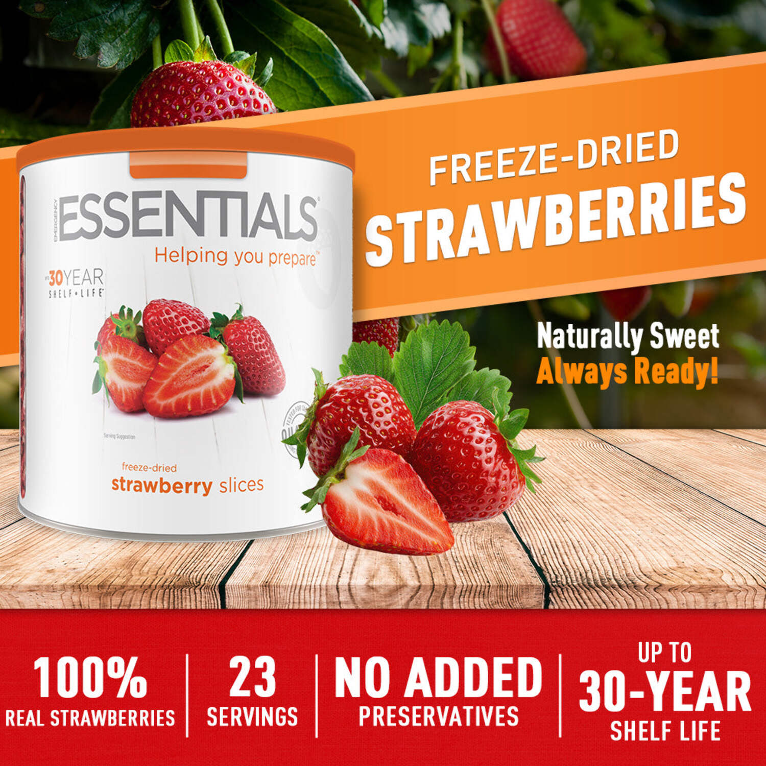 Emergency Essentials, Freeze-Dried Strawberry Slices, Bulk Freeze-Dried Fruit, 30-Year Shelf Life, 6.4-oz. Large Can