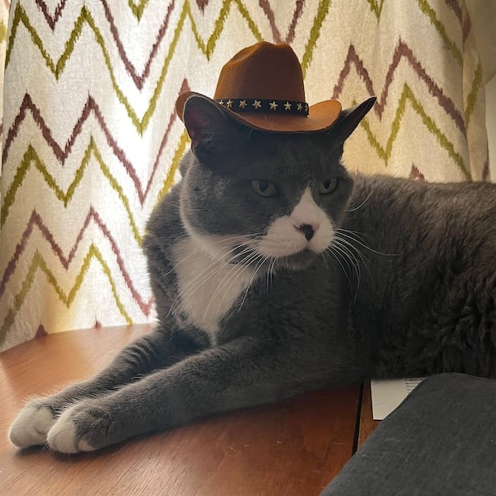Coffee Star Decor Pet Cowboy Hat, Adjustable Western Style Pet Headwear, Cute Felt Puppy Kitten Hat for Birthday Party Photo Prop Daily Pet Accessories