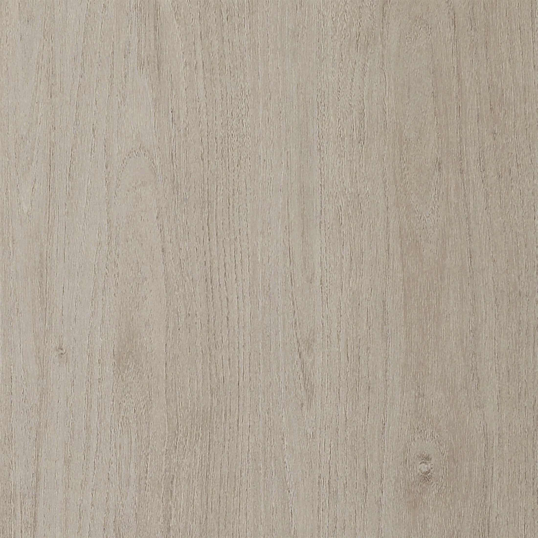 Evelyn&Zoe Modern/Contemporary 47.25" Wide Alder White Coffee Table