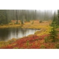 thumbnail image 2 of Paulson, Don 14x11 Black Ornate Wood Framed with Double Matting Museum Art Print Titled - WA, Mount Rainier NP Fall-colored meadow, 2 of 4