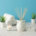 thumbnail image 3 of Hosley Aromatherapy Vanilla Diffuser Oil with Ceramic Owl Farmhouse Bottle & Reed Sticks - 110ml Ideal Gift for Home Decor, Bathroom Decor, Room Decor, Spa, Meditation, Weddings, 3 of 8