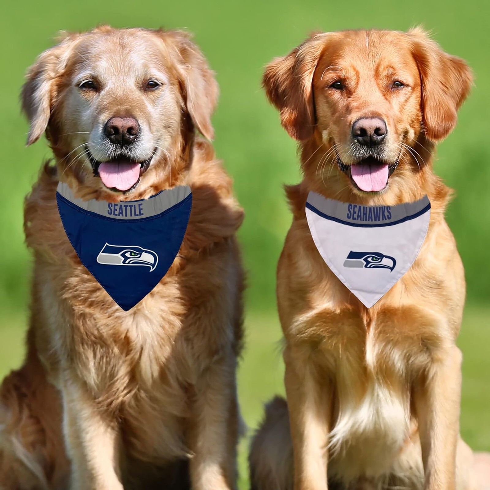 Pets First #1 NFL Party Bandana, Reflective Dog Bandana & Cat Bandana