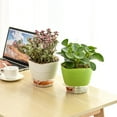 thumbnail image 4 of MesaSe Flower Pot Multi-use Self Watering PP Partition Layer Detachable Planter Pot for Garden Flower Pot, 4 of 8