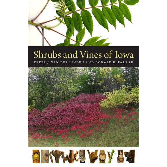 Bur Oak Guide: Shrubs and Vines of Iowa (Paperback)