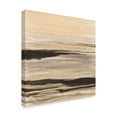 thumbnail image 2 of Trademark Fine Art 'Gilded Surf' Canvas Art by Chris Paschke, 2 of 3