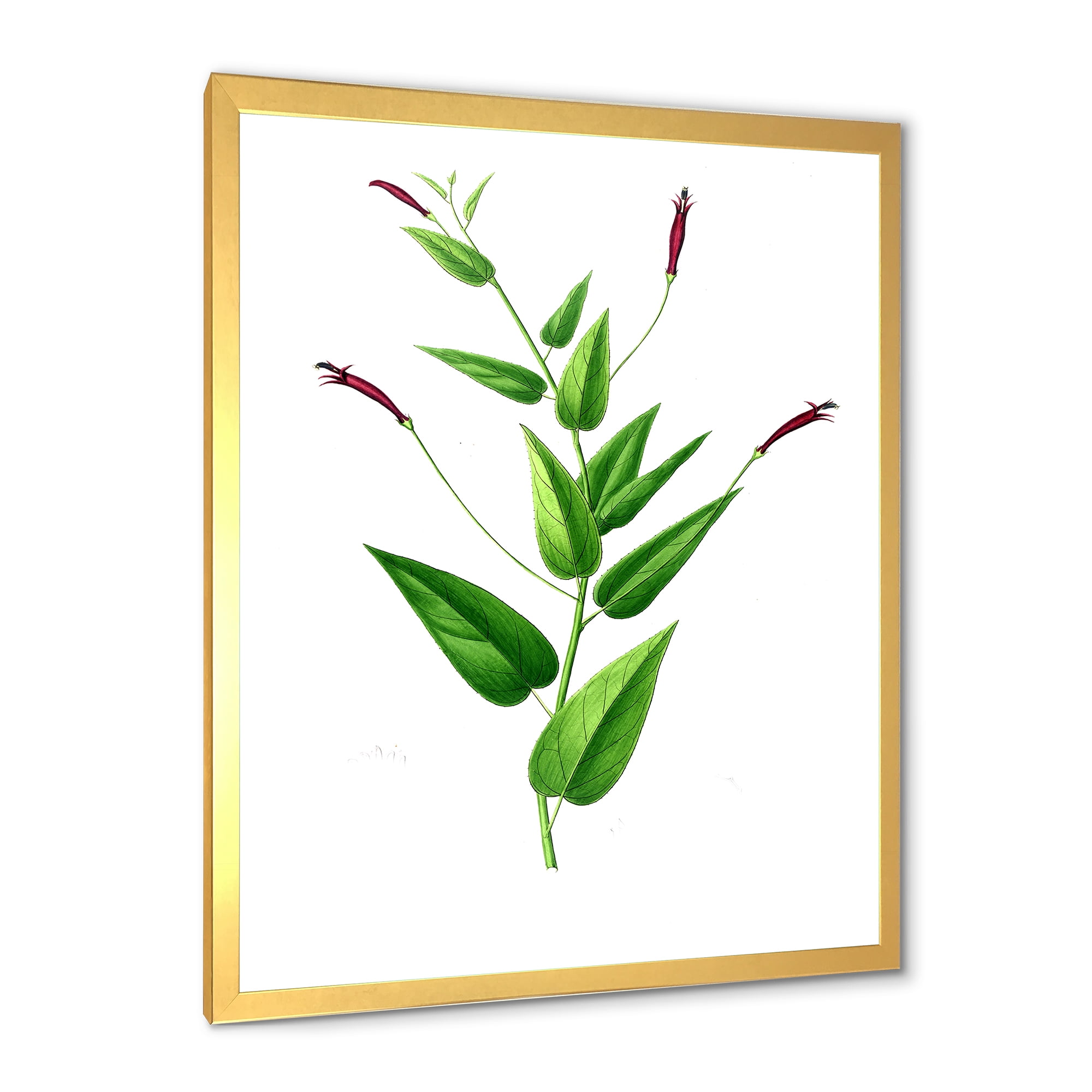 Designart 'Ancient London Plants VII' Traditional Framed Art Print