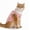 Pink, variant on EcoNest Post Recovery Cat E Collar Alternative For Grooming And Comfort For Aftercare Soft Protective Wear For Cats
