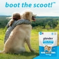 thumbnail image 4 of Glandex Peanut Butter Anal Gland Support for Dogs, 30 Soft Chews, 4 of 6