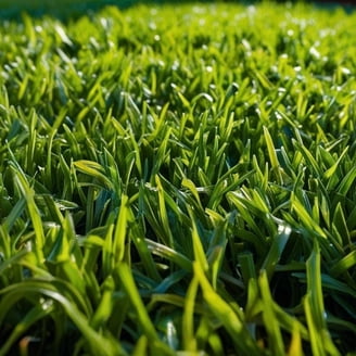 Schultz 10630 3 lbs Hardy Grass Seed - Walmart.com