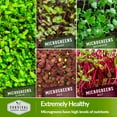 thumbnail image 4 of 10 Variety Pack Microgreens Seeds - Nutritious Sprouting Vegetables (Annual), 4 of 8