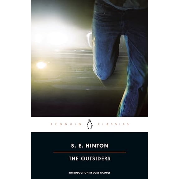 Pre-Owned The Outsiders (Paperback) 0143039857 9780143039853