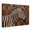 C, variant on XaaKee Striped Heritage 0041 Zebra Animal Portrait Art Prints Canvas Wall Art Inner Framed 18*12Inch