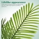 thumbnail image 3 of Palmera artificial de imitación, planta grande y realista para decoración de interiores, oficina, hogar, sin necesidad de mantenimiento., 3 of 9