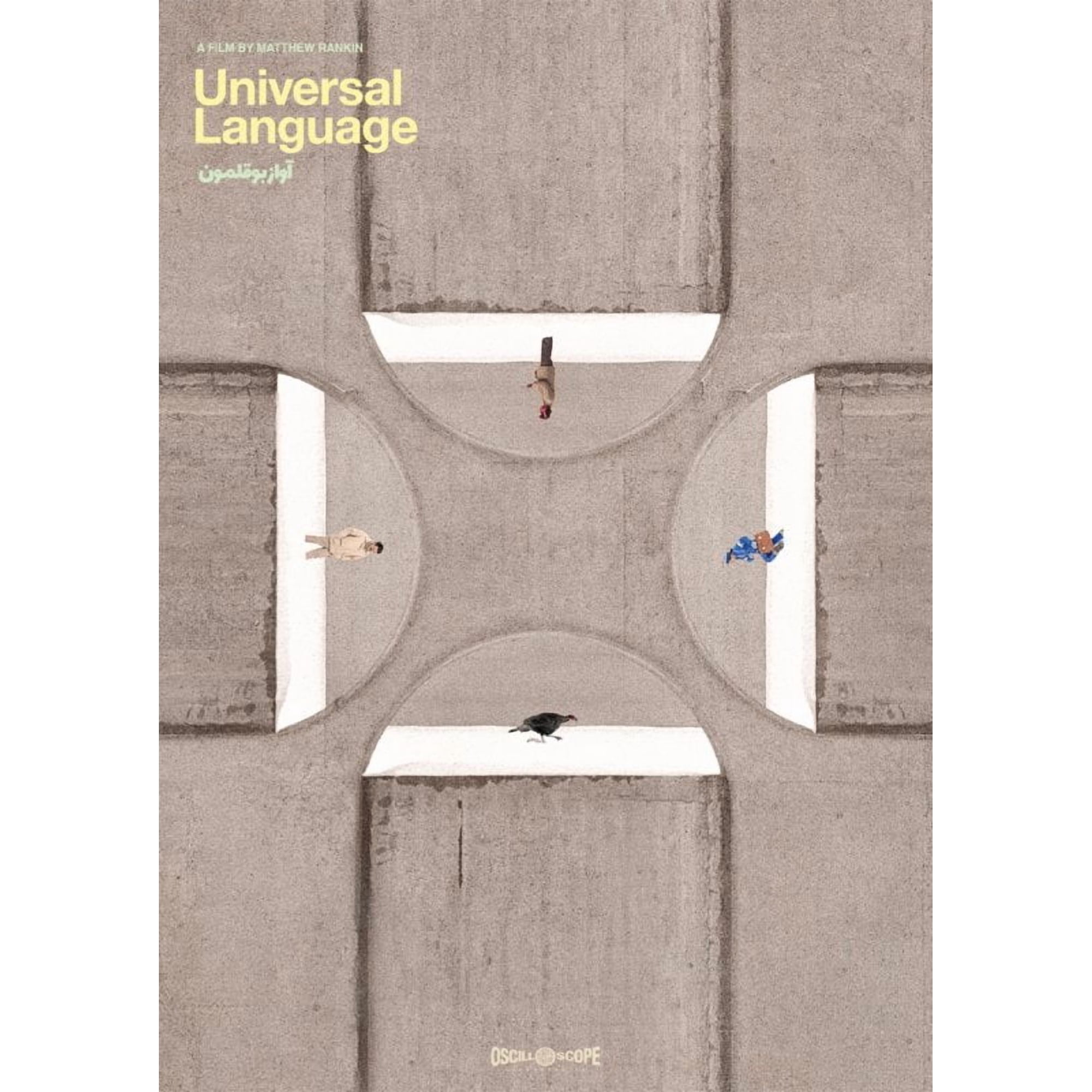 Oscilloscope - Universal Language [DIGITAL VIDEO DISC]