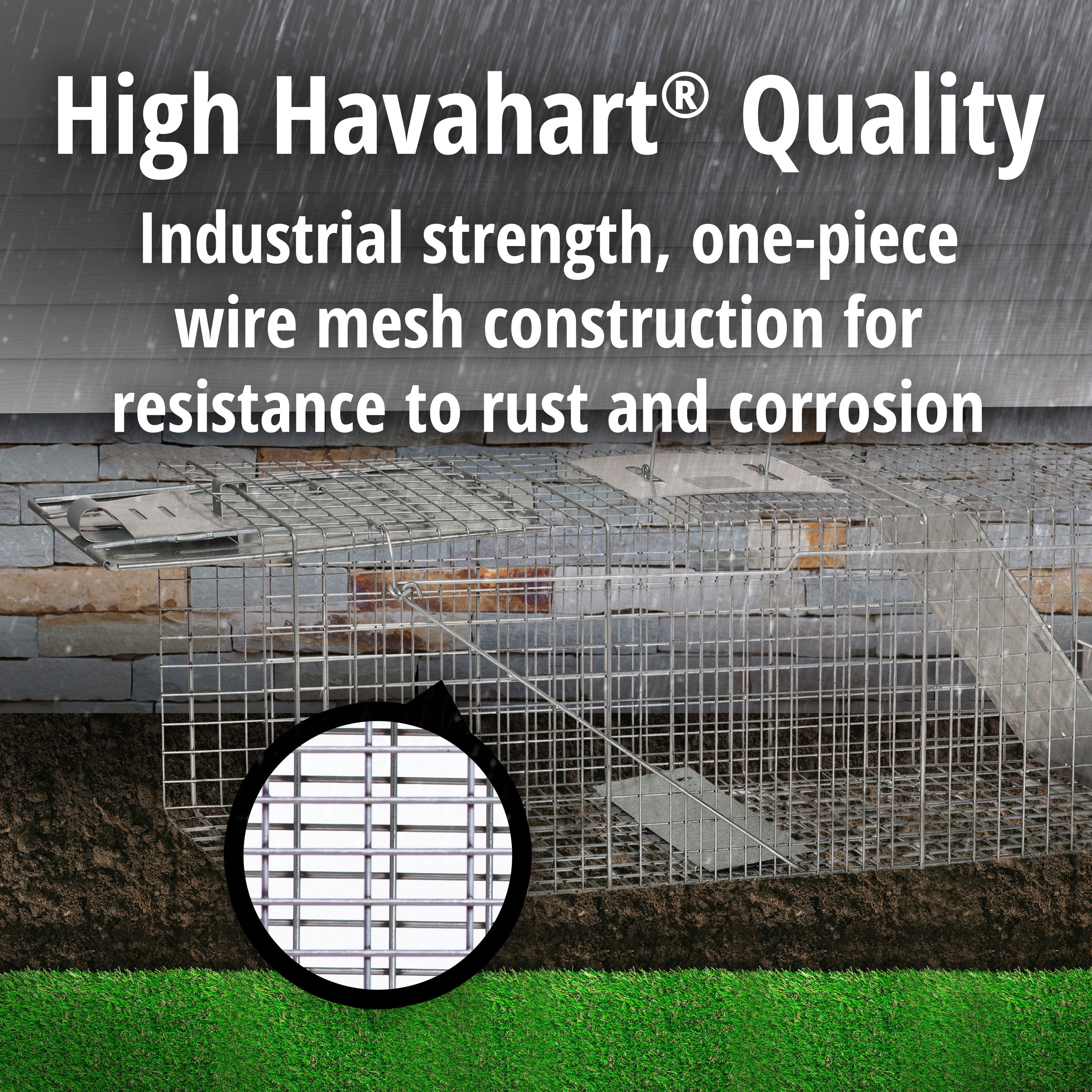 Havahart 1045 Live Animal Raccoon Opossum Groundhog Cage Trap