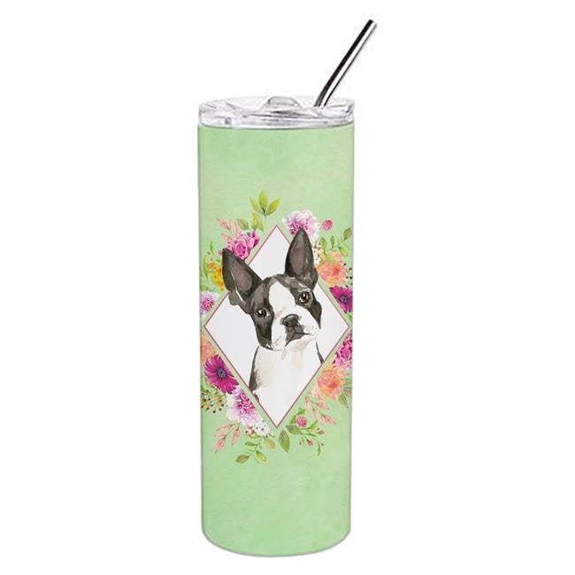 skinny boston terrier