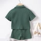 thumbnail image 4 of Odeerbi 1-6 Años Niños Conjunto de Verano Tejido de Punto de Algodón Manga Corta Shorts Set Cuello Botón Top Cintura Elástica Shorts Conjunto de Dos Piezas, 4 of 8