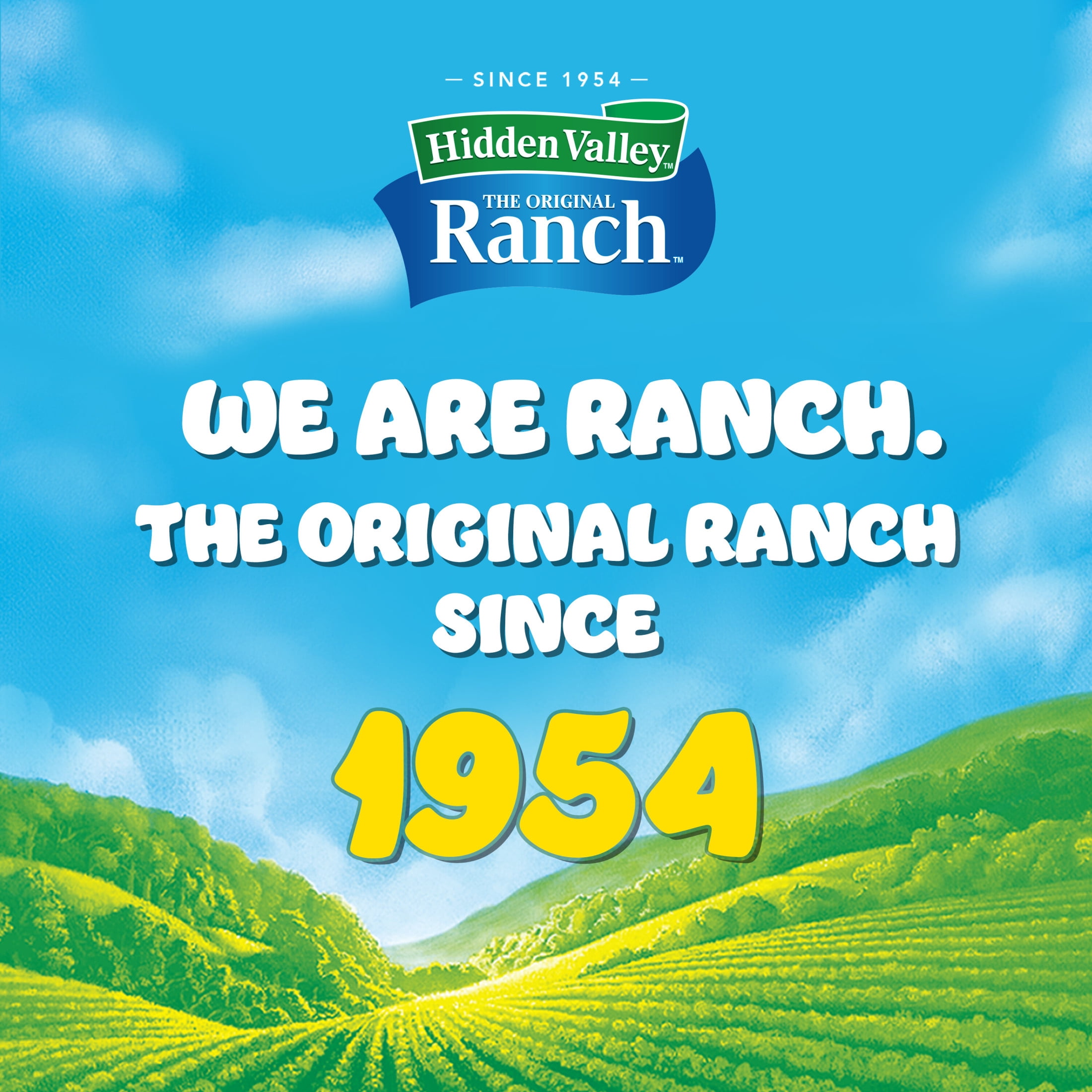 Hidden Valley Fiesta Ranch Dip Mix, 1 oz Packet