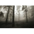 thumbnail image 2 of Vera, Urtzi 18x13 White Modern Wood Framed Museum Art Print Titled - Invasion, 2 of 4