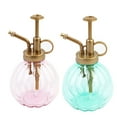thumbnail image 4 of Glass Watering Can 350ml Desktop Gardening Potted Plant Succulents Watering Kettle Flower Watering Tool, 4 of 8