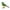 Green, variant on Luoshungang Robot Bird Singing And Chirping Bird Toy Simulate The Chirping Of Birds Battery Operated Realistic Singing Chirping Birds For Home Decoration Light & Voice Control (Without Battry) Girls