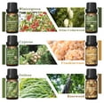 thumbnail image 6 of HIQILI Woodsy Set, 6PCS 10mL Pure Fragrance Oil Set for Massage, Skin, Beauty, DIY Perfume, Diffuser, 6 of 6