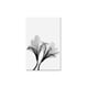 thumbnail image 1 of cuadro decorativo shadow flower lienzo by suma  1 pieza 90 x 60 CM, 1 of 2
