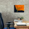 thumbnail image 5 of Epic Graffiti 'Lily Dressed In Orange' by Pamela Plummer, Canvas Wall Art, 16"x12", 5 of 8