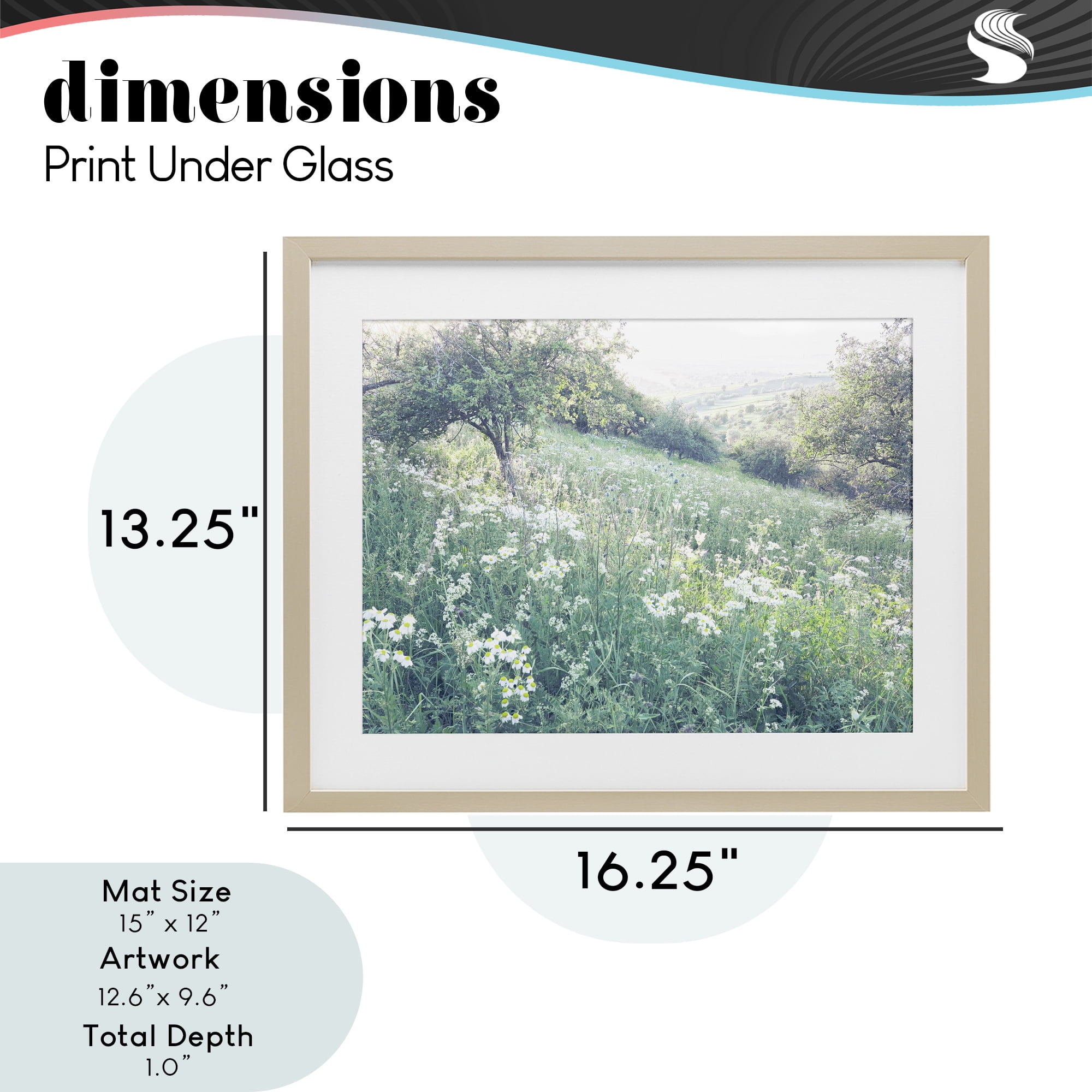 Stupell Industries Sunny Daisies in Meadow Birch Framed Print Under Glass, design by Leah Straatsma