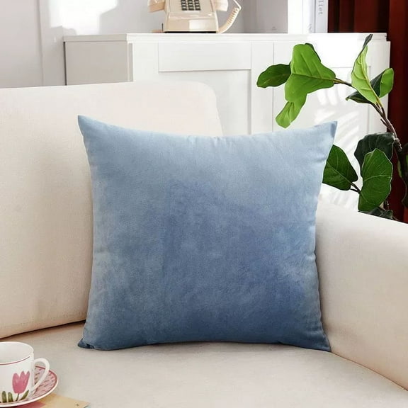Cterwk 1 Pack Decorative Throw Pillow Covers Soft Velvet Pillow Case Square Pillowcases for Couch Sofa Bed Living Room, 20x20 inch
