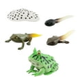 thumbnail image 4 of montessori Cycle Animal Figures Toy Animals Cognitive Frogs Life Cycle Model for style B, 4 of 10