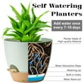 thumbnail image 2 of LIOUCBD 5Pack Self Watering Plant Pots for Lazy People, 7/6.5/6/5.5/5 Inch,White Plastic Self Watering Planter for All Houseplants,Succulent, African Violets,Snake Plants, Flowers and Cactus, 2 of 15